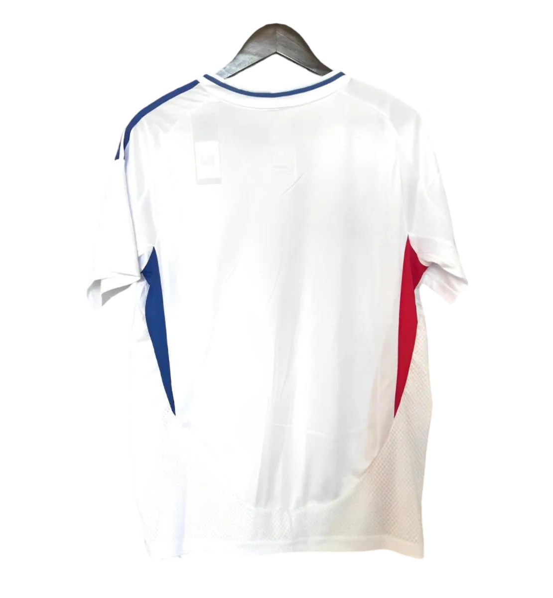 24-25 Olympique Lyonnais Lyon Home kit - Fan version - Goatkits Store